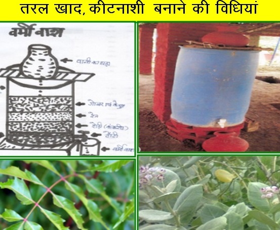 Methods of making liquid manure insecticide